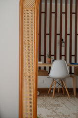 Cane Mirror